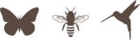 butterfly bee hummingbird