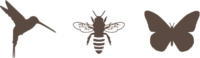 humming bird bee butterfly
