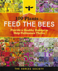 100 Plants to Feed The Bees